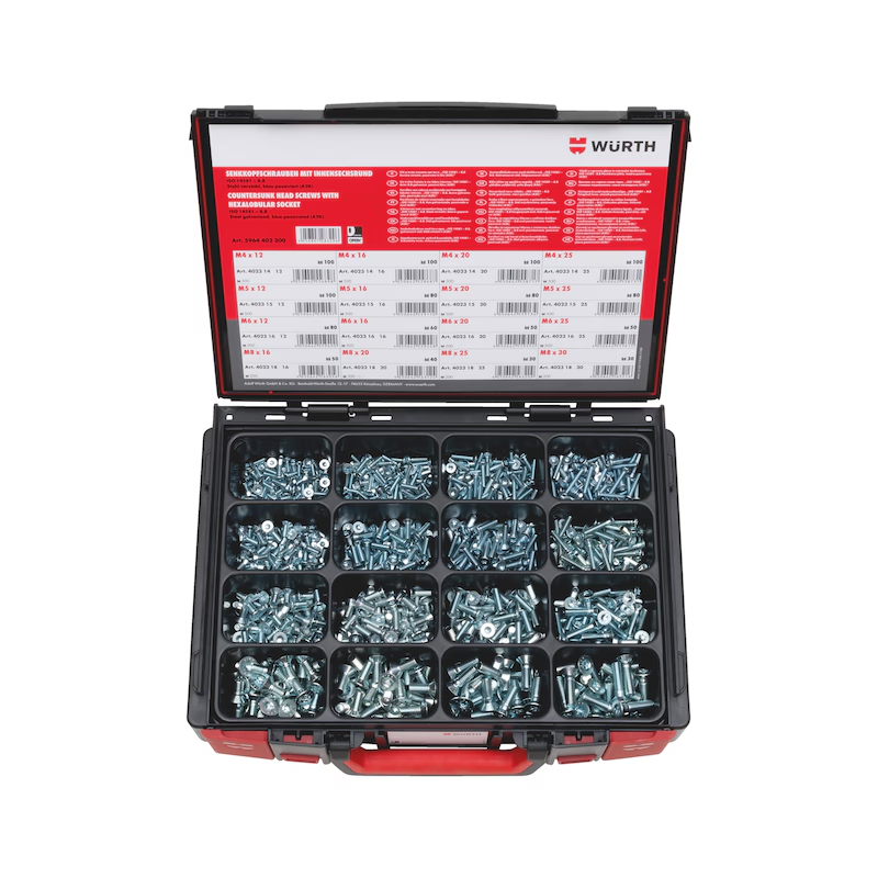 Würth Senkschrauben ISO 14581 Innensechsrund verzinkt Sortiment 1140-tlg System-Koffer 4.4.1