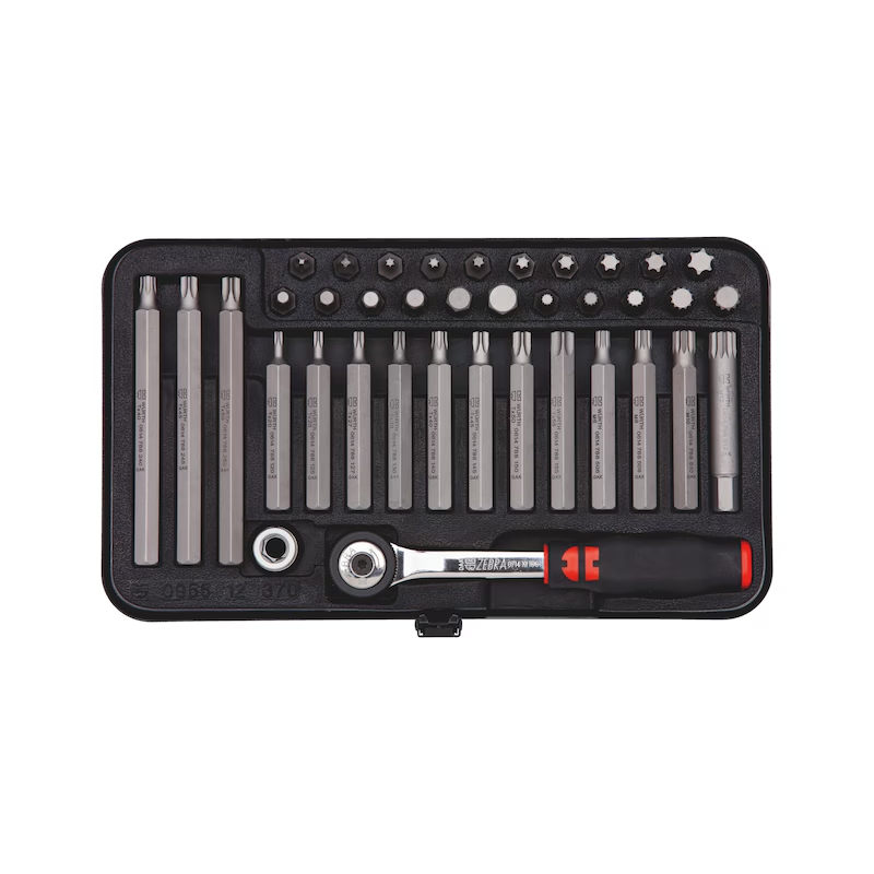Würth Ratschen-Bit-Sortiment 10 mm – 38-teilig für Kfz & Cargo